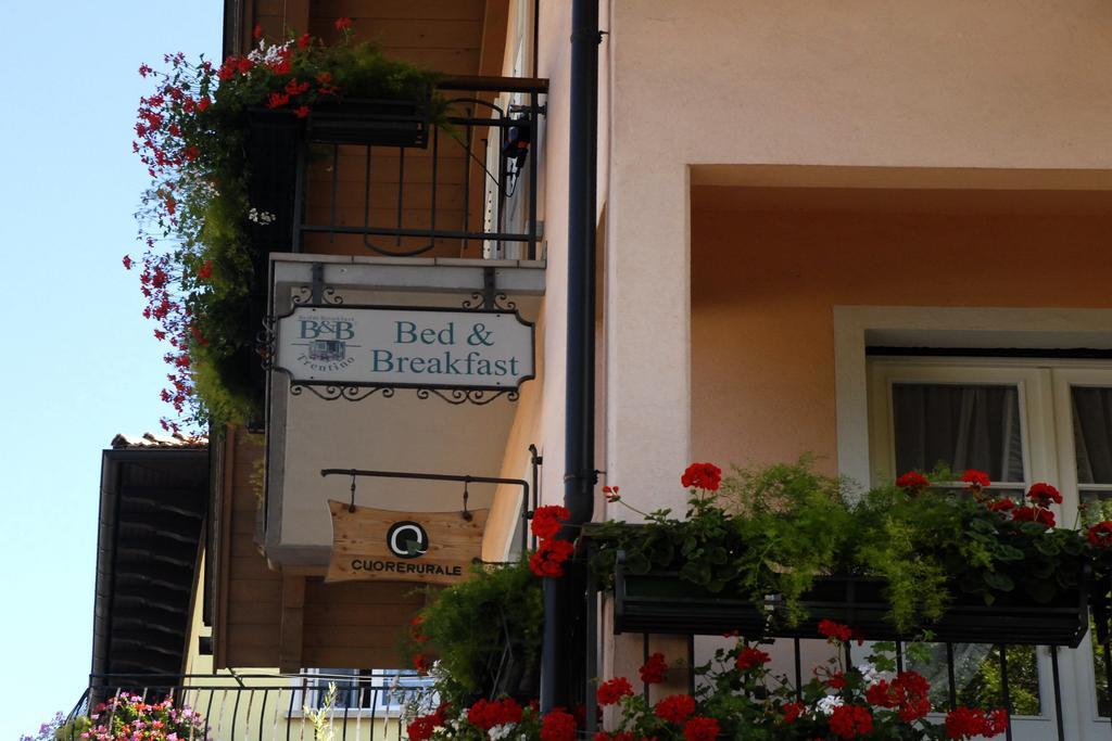 B&B Casa Riz Castello-Molina di Fiemme ภายนอก รูปภาพ