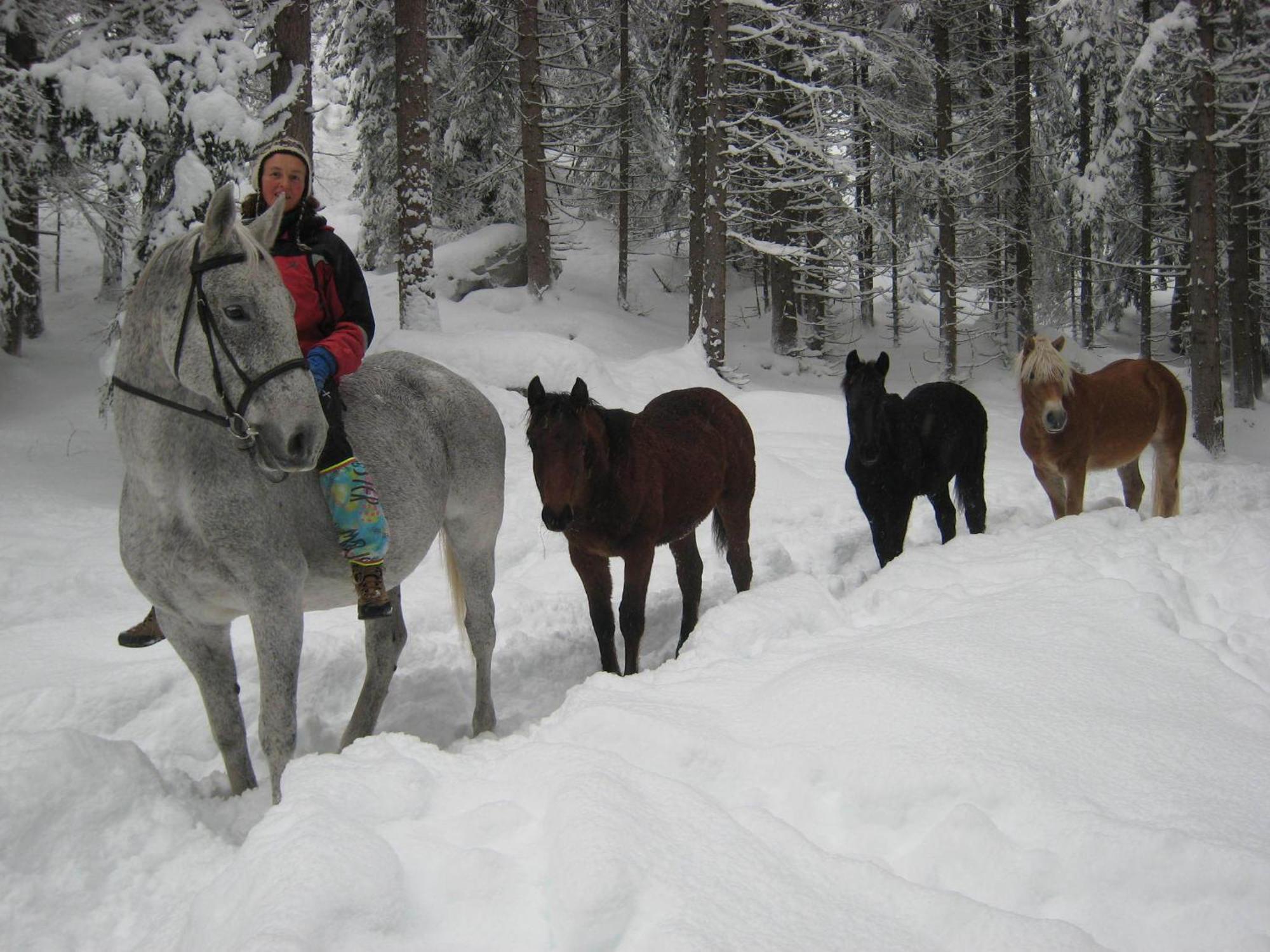B&B Casa Riz Castello-Molina di Fiemme ภายนอก รูปภาพ
